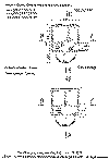 moskwich3plan.gif (10318 байтов)